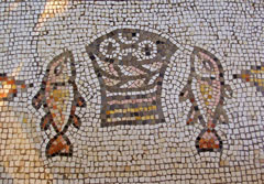 2018年７月２９日（年間第17主日）のミサの第２朗読