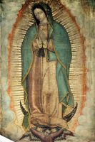グアダルペの聖母