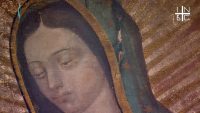 グァダルーペの聖母（部分）