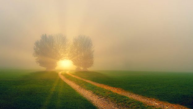 2022年９月２２日のミサのアレルヤ唱