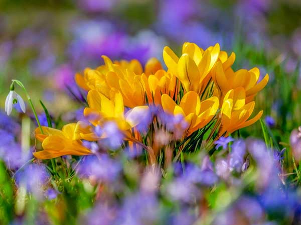 2023年２月１８日のミサの第１朗読