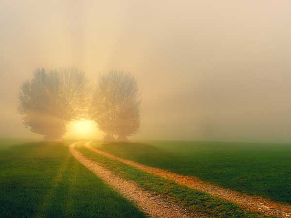 2025年5月16日のミサの福音