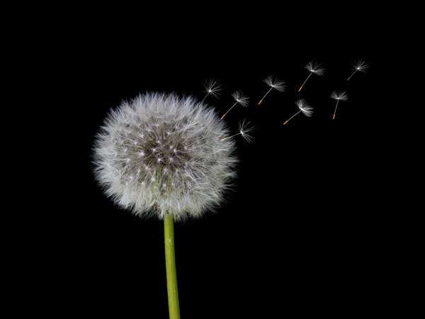 2023年４月１７日のミサの福音