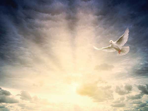 2023年５月７日（復活節第5主日）のミサの第2朗読