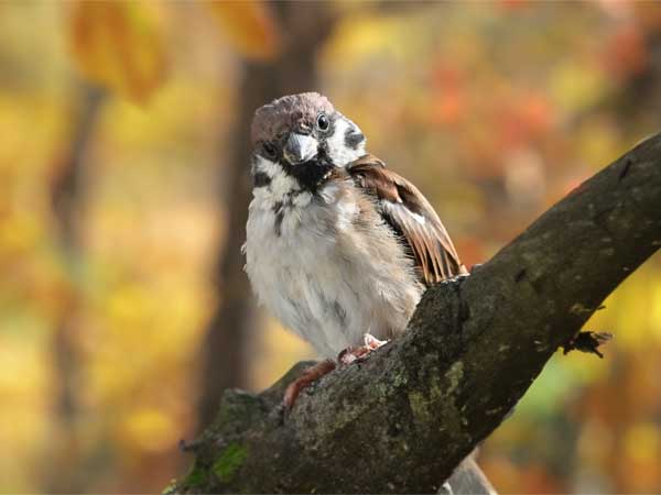 2023年10月20日のミサの福音
