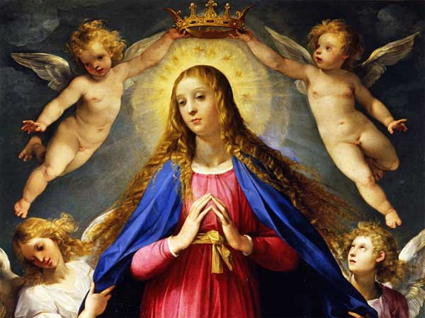 2023年１２月８日（無原罪の聖マリアの祭日）のミサの福音