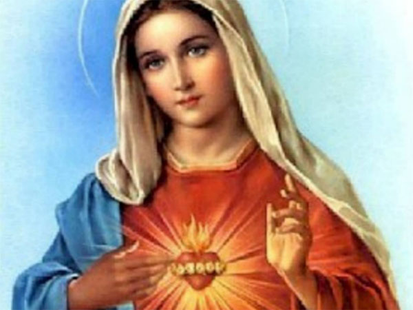 2024年６月８日（聖母のみ心の記念日）のミサの福音