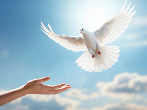 2024年７月１２日のミサの福音