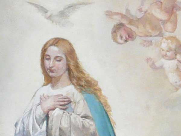 2024年７月１４日（年間第15主日）のミサの第2朗読