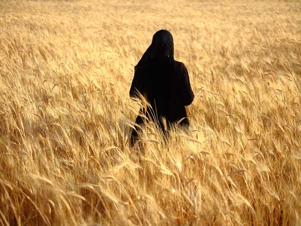 2024年７月１０日のミサの第1朗読