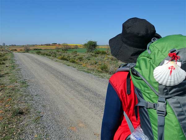 2024年9月25日のミサの福音