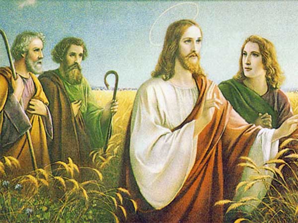 2024年９月７日のミサの福音