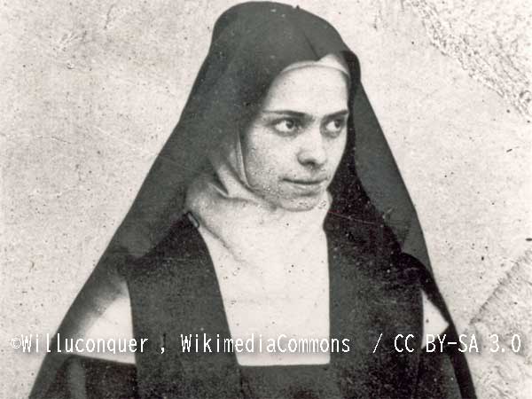 2025年１１月８日（三位一体の聖エリザベットの記念日［任意］）のミサの福音