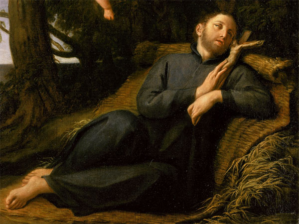 2025年１月２４日（聖フランシスコ・サレジオ司教教会博士の記念日）のミサの福音