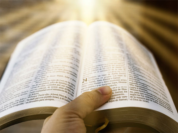 2025年１月２６日（年間第3主日・神のことばの主日）のミサの第2朗読