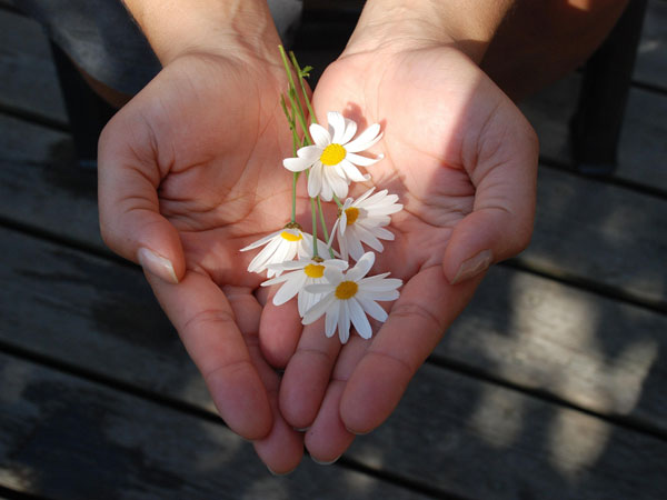 2025年２月２３日（年間第7主日）のミサの福音