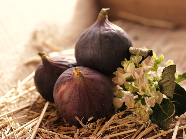 アイキャッチ用　いちじく