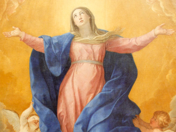 2025年８月１５日（聖母マリアの被昇天の祭日）のミサの福音