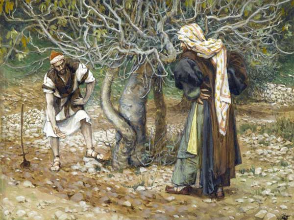 2025年10月25日のミサの福音