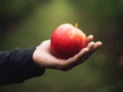 アイキャッチ用　りんごを持つ手