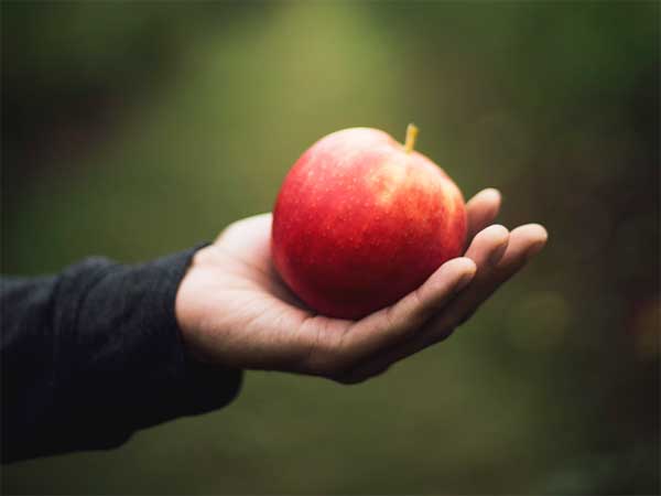 2025年11月19日のミサのアレルヤ唱